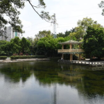 广州 公园,绿意盎然的都市绿洲，休闲生活的好去处